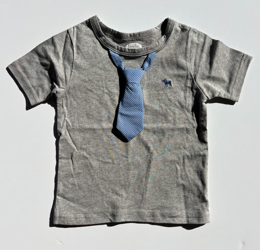 GREY TEE WITH BLUE STRIPED TIE
