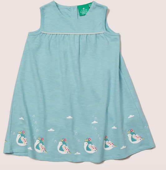 The Birds Did Sing Storytime Dress
