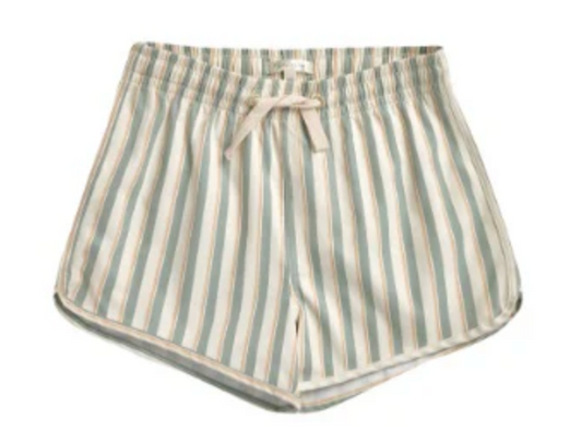 swim trunk || aqua stripe
