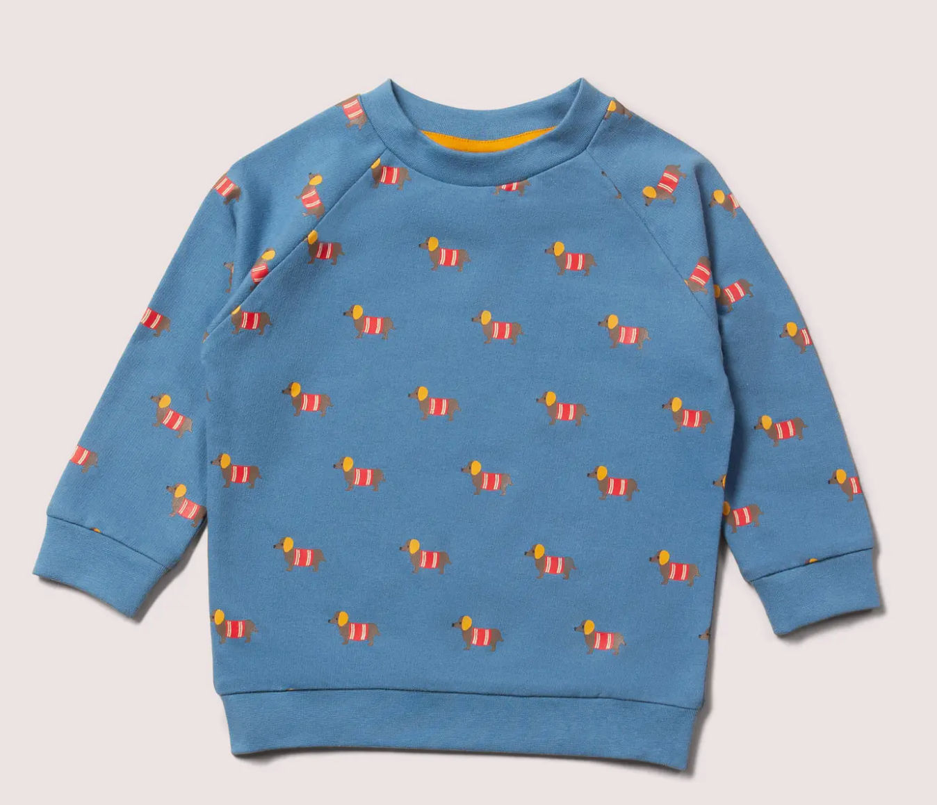 Sausage Dogs Raglan Sweatshirt