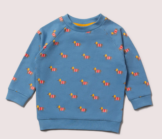 Sausage Dogs Raglan Sweatshirt