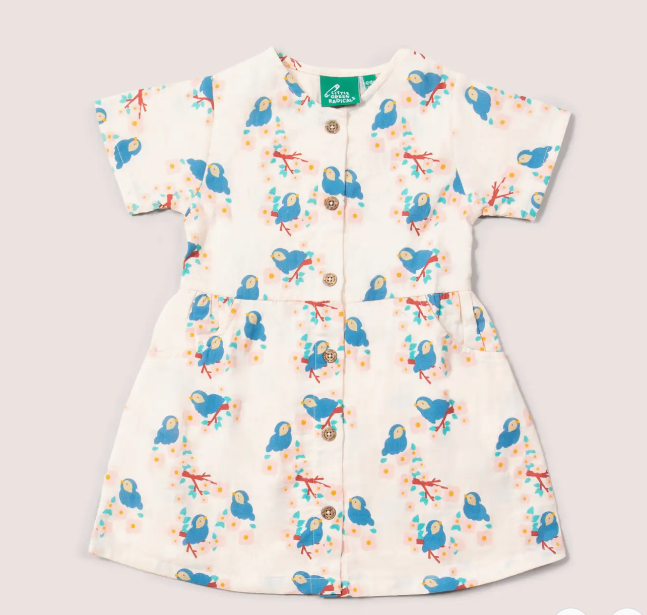 Bluebirds Button Through SS Dress