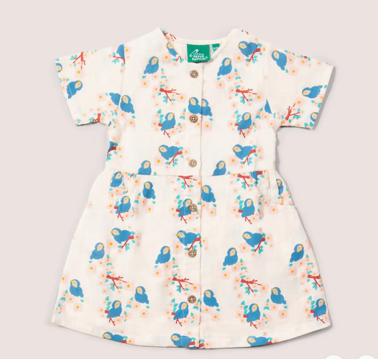 Bluebirds Button Through SS Dress