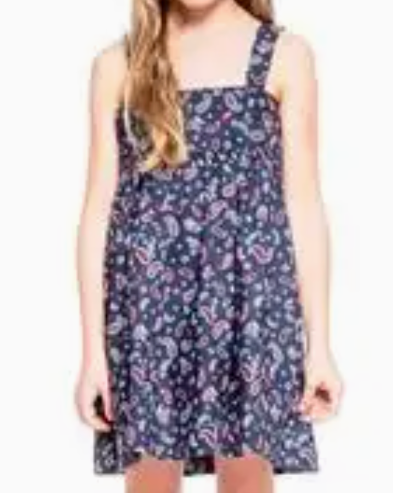 Bandana Blue Pinny