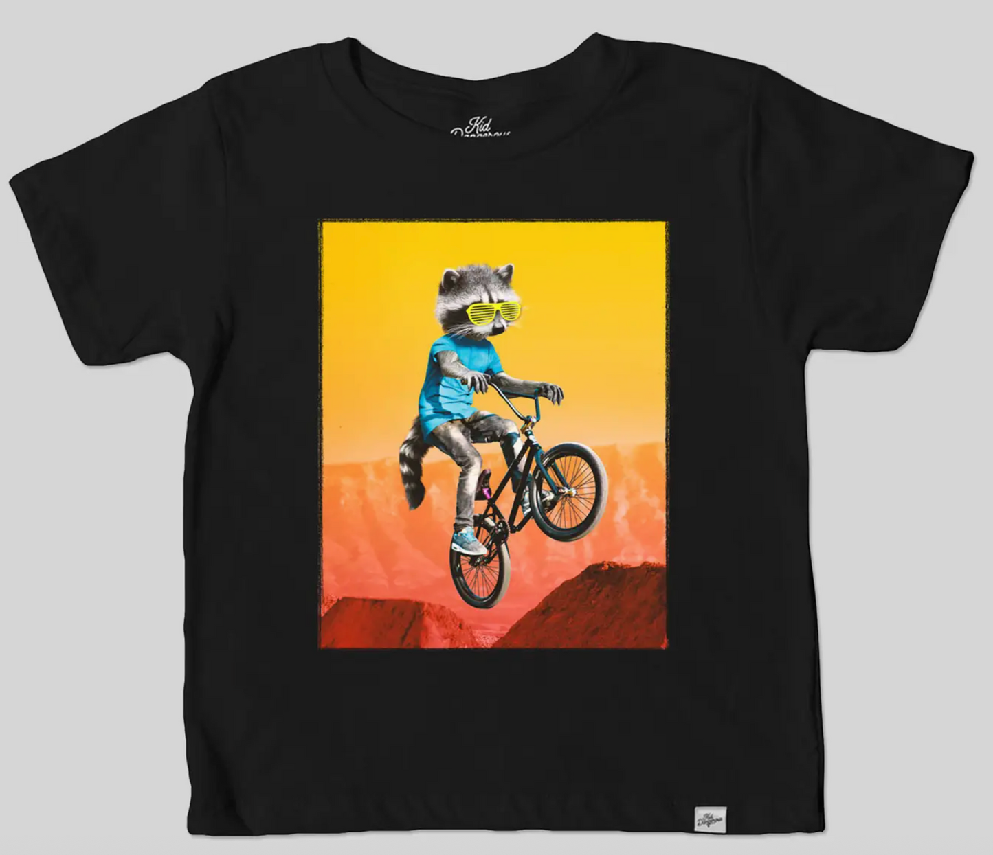 Kids Biking Raccoon T-Shirt Animal Graphic Tee | S