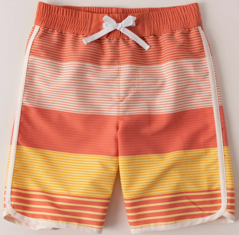 Ombre Stripe Swim Trunk | Burnt Ochre / S (7/8)