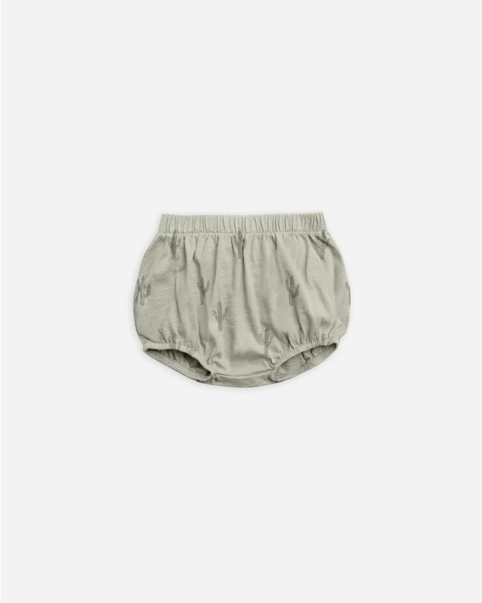 essential bloomer || cactus