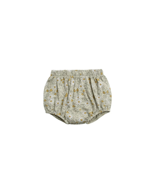 essential bloomer || wildflowers